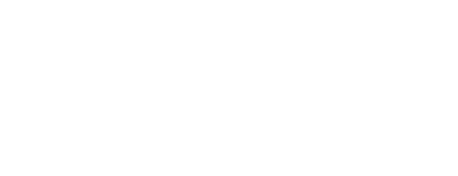 New Gate Investment